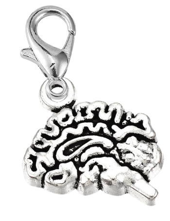 Charms and Bracelets